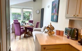 Fashionable Chic Townhouse In D4